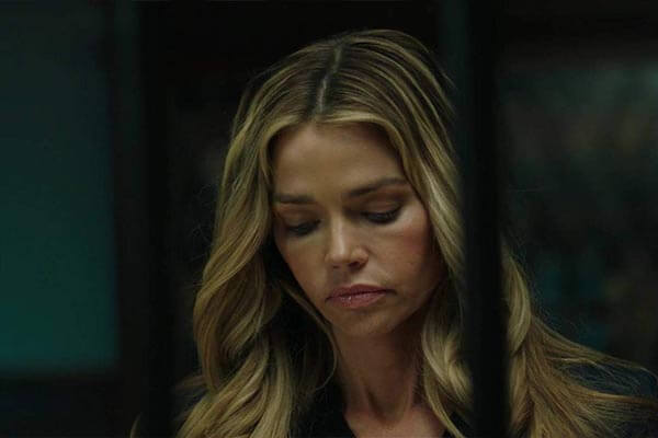 Denise Richards bio Denise Richards series income