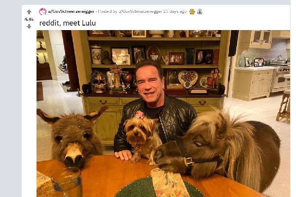 Arnold Schwarzenegger Reddit Arnold Schwarzenegger's Reddit account