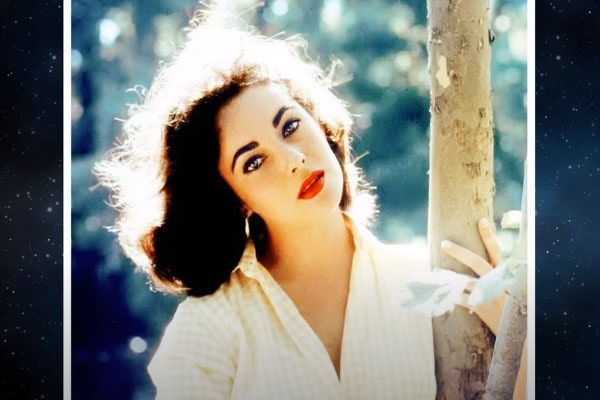 Christopher Edward Wilding Elizabeth Taylor's son, Christopher Edward Wilding