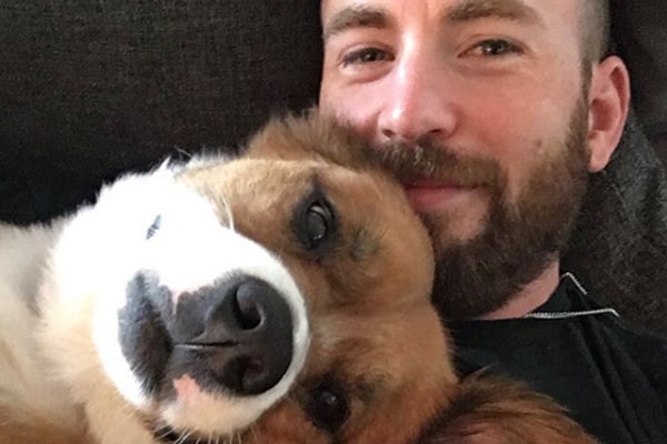Chris Evan dog Chris Evans with his dog Dodger