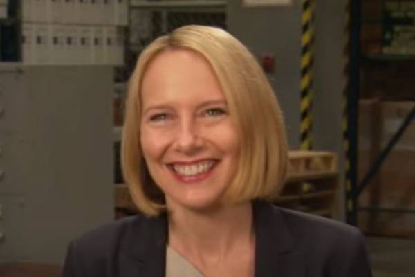 Amy Ryan started her career as a stage actress. Amy Ryan Net Worth And Income As An Actress.