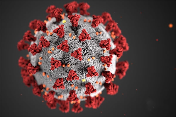 Celebrities Who Are In Jail Are Scared That They Will Get Coronavirus